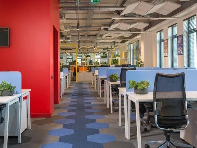 全自动雾森主机生产厂家